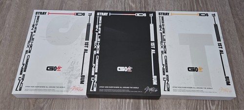 Stray kids live - kids, first