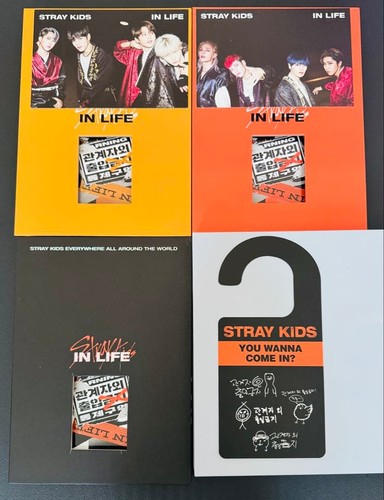 Stray kids life - in,